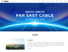 远东电缆案例